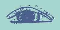 eyecornflowerblue