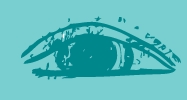 eyedarkturquoise